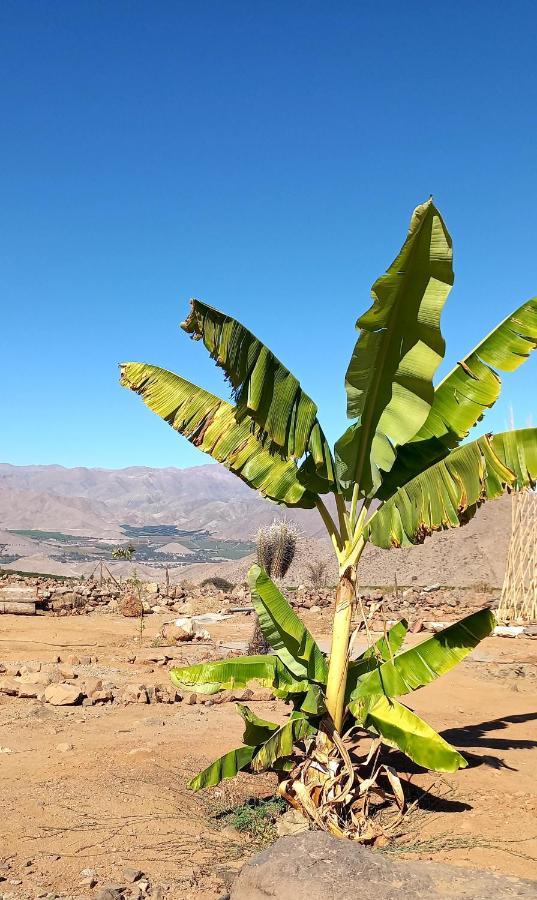 Campo De Cielo Mamalluca Valle De Elqui Vicuña Eksteriør billede