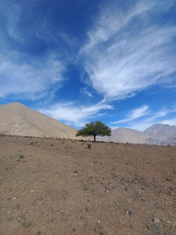 Campo De Cielo Mamalluca Valle De Elqui Vicuña Eksteriør billede